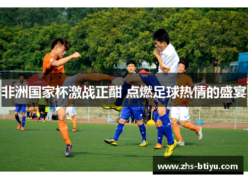 非洲国家杯激战正酣 点燃足球热情的盛宴 非洲国家杯激战正酣 点燃足球热情的盛宴